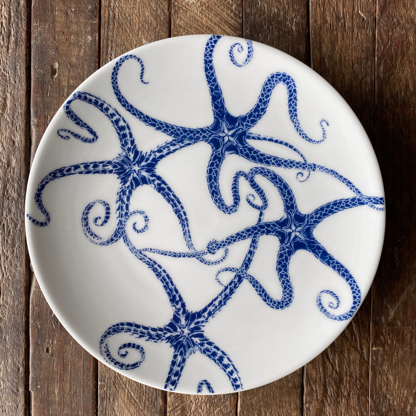 Starfish Small Plates, Set of 4