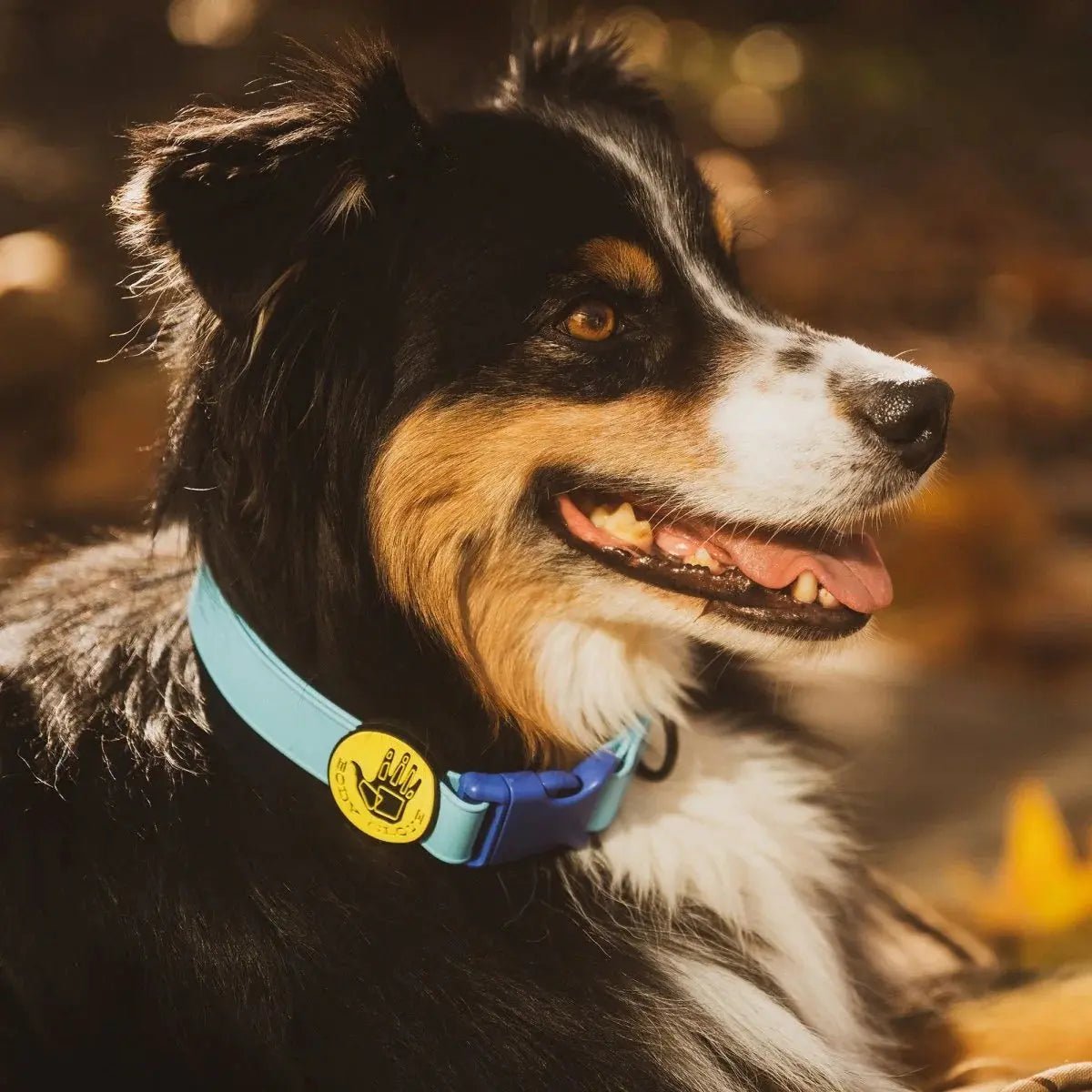 Body Glove Biothane Dog Collar - Marsh and Manor Collective