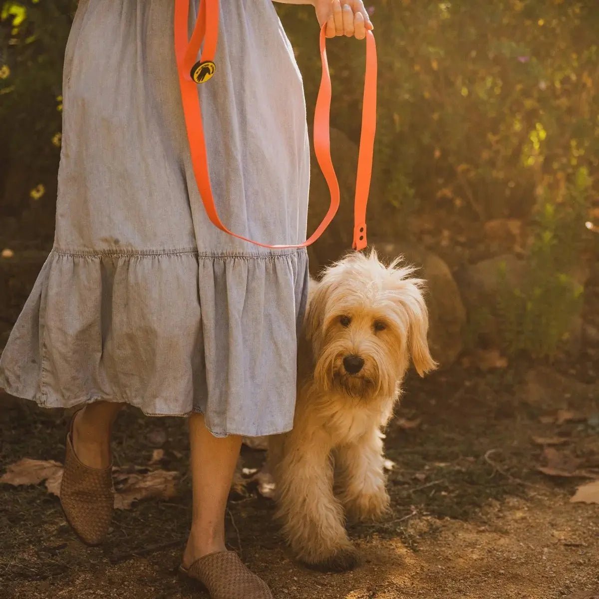 Body Glove Biothane Waterproof Leash - Marsh and Manor Collective