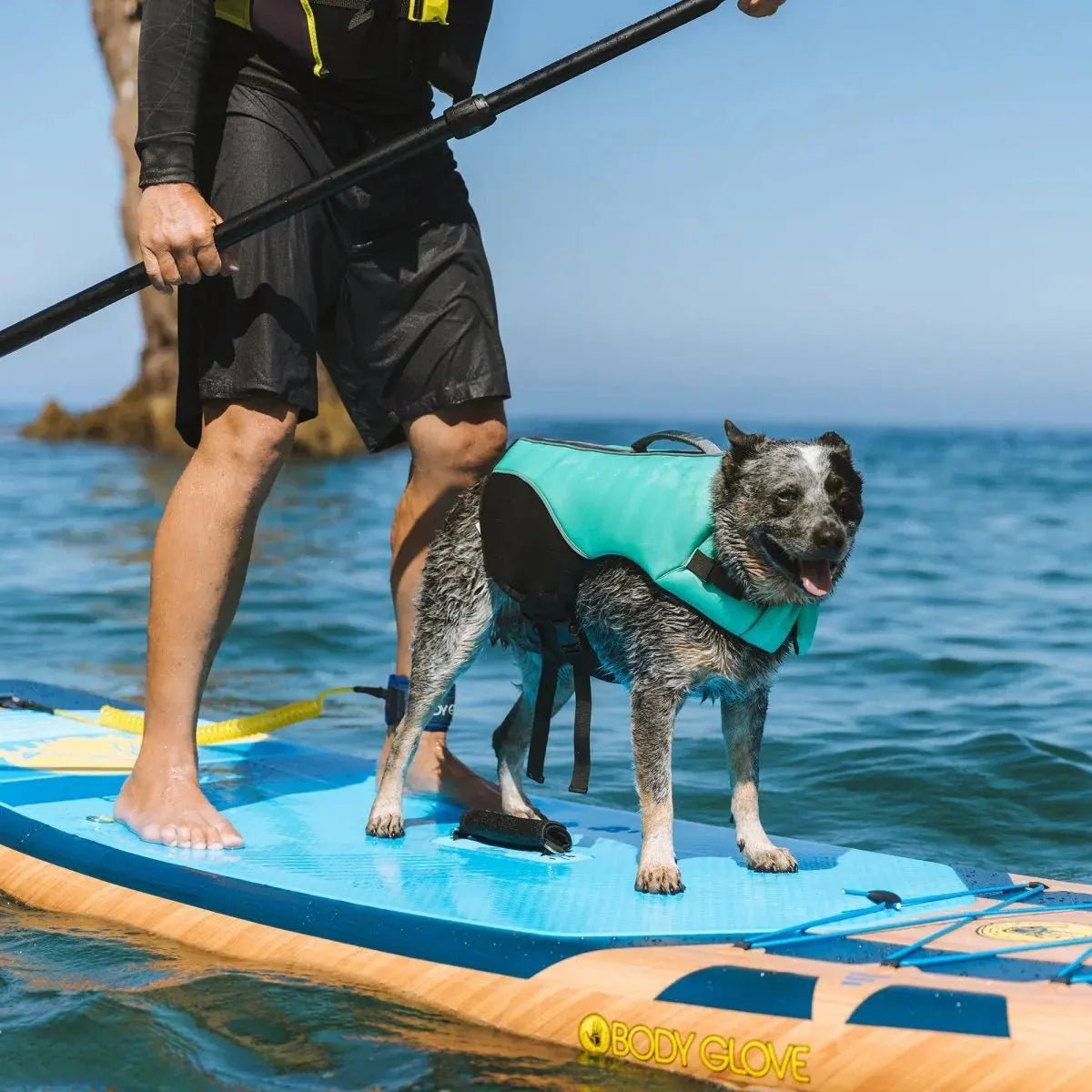 Body Glove Neoprene Pet Life Jacket - Marsh and Manor Collective