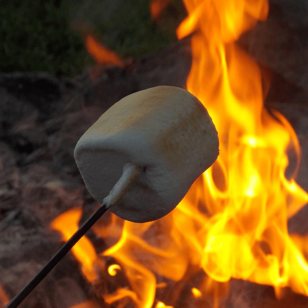 Bonfire Night - 8oz Wood Wick Candle - Marsh and Manor Collective