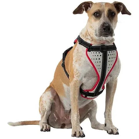Nathan reflective dog harness - Marsh and Manor Collective