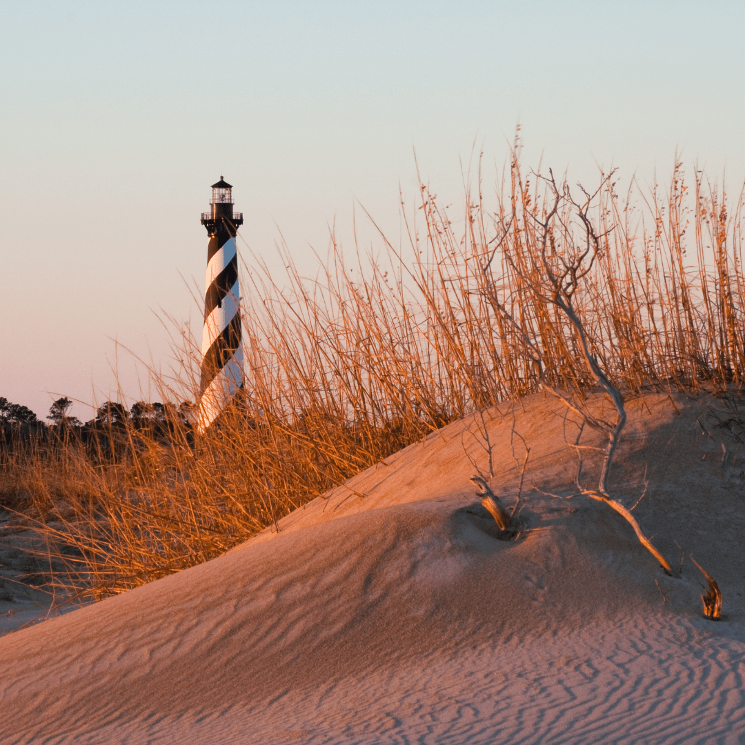 Outer Banks - 8oz Wood Wick Candle - Marsh and Manor Collective