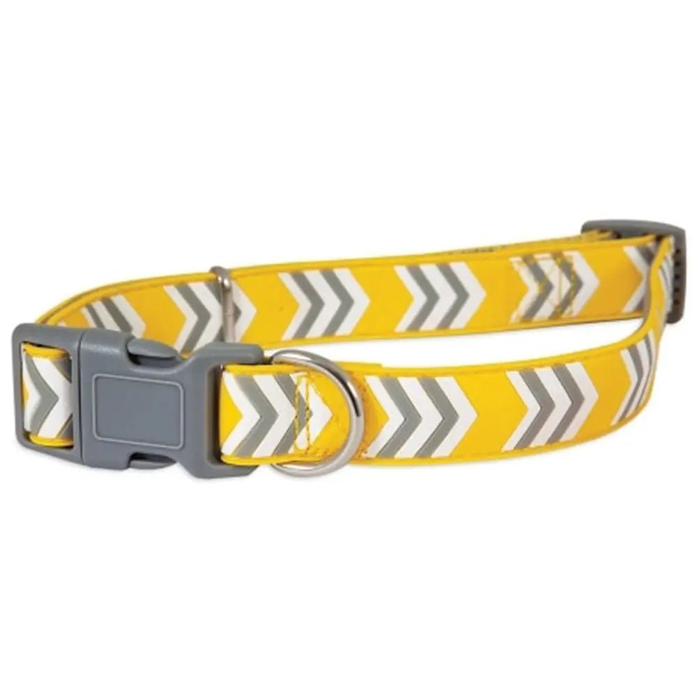 Petmate RUBBER DOG COLLAR - Marsh and Manor Collective