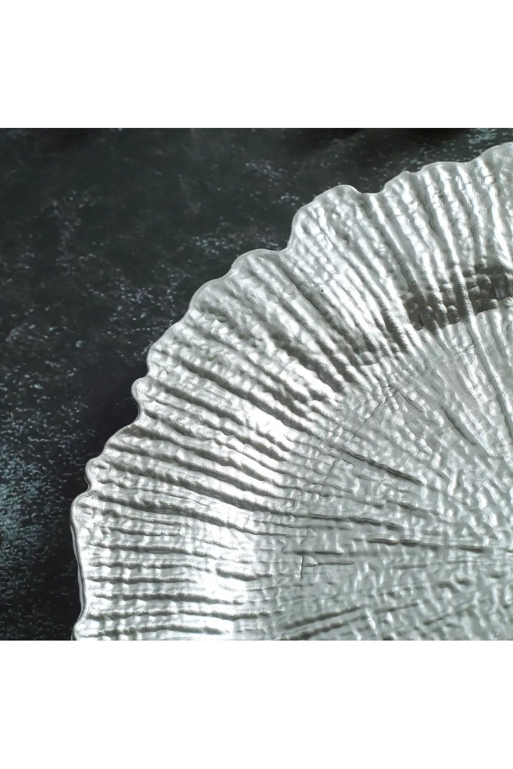 Silver Reef Acrylic Charger Dinner Plates - Set Of 6 - Marsh and Manor Collective