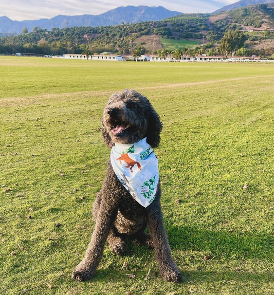 Skydog Wild & Free Dog  Bandana