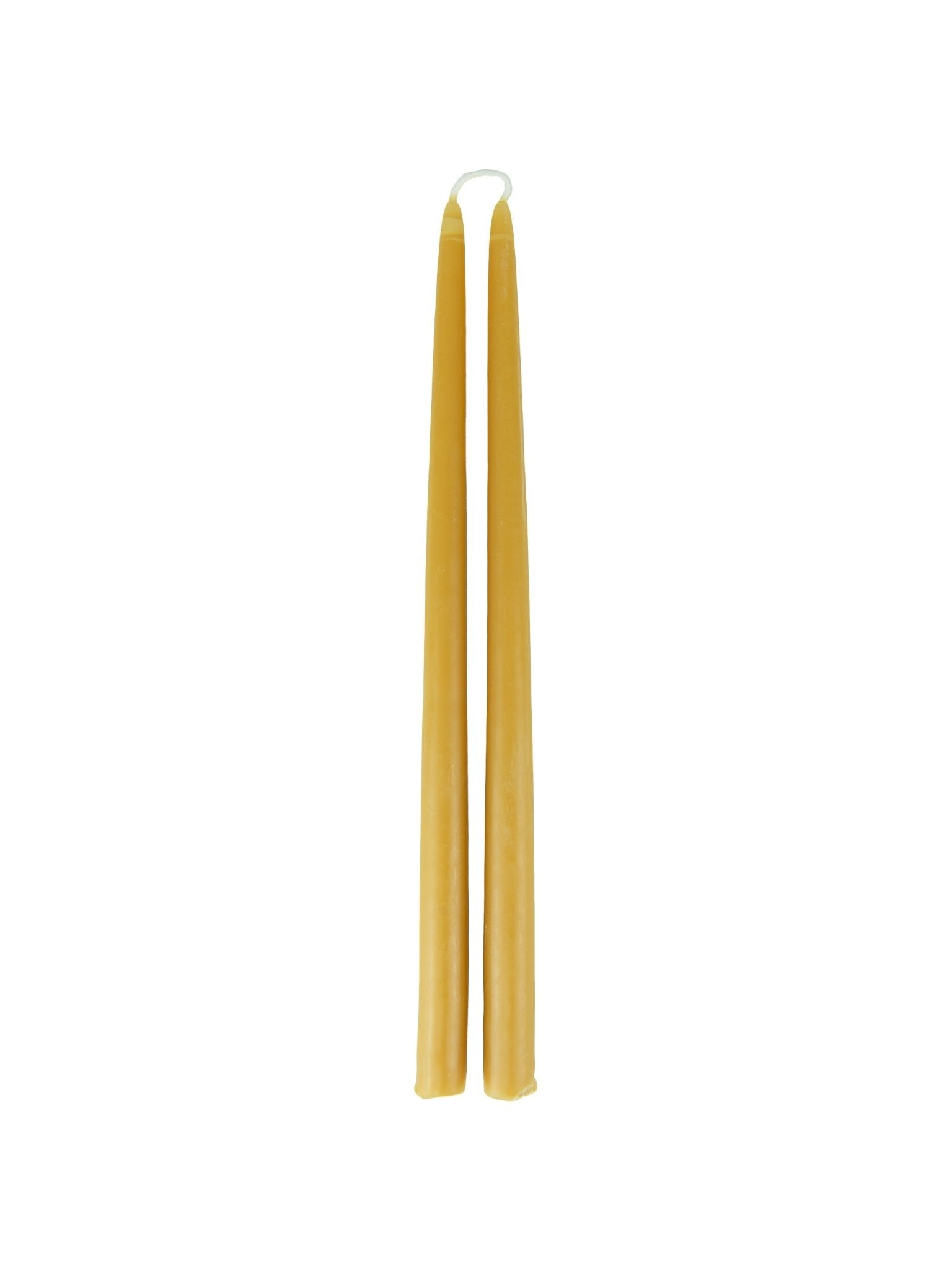 Beeswax Taper Candles - Marsh and Manor Collective