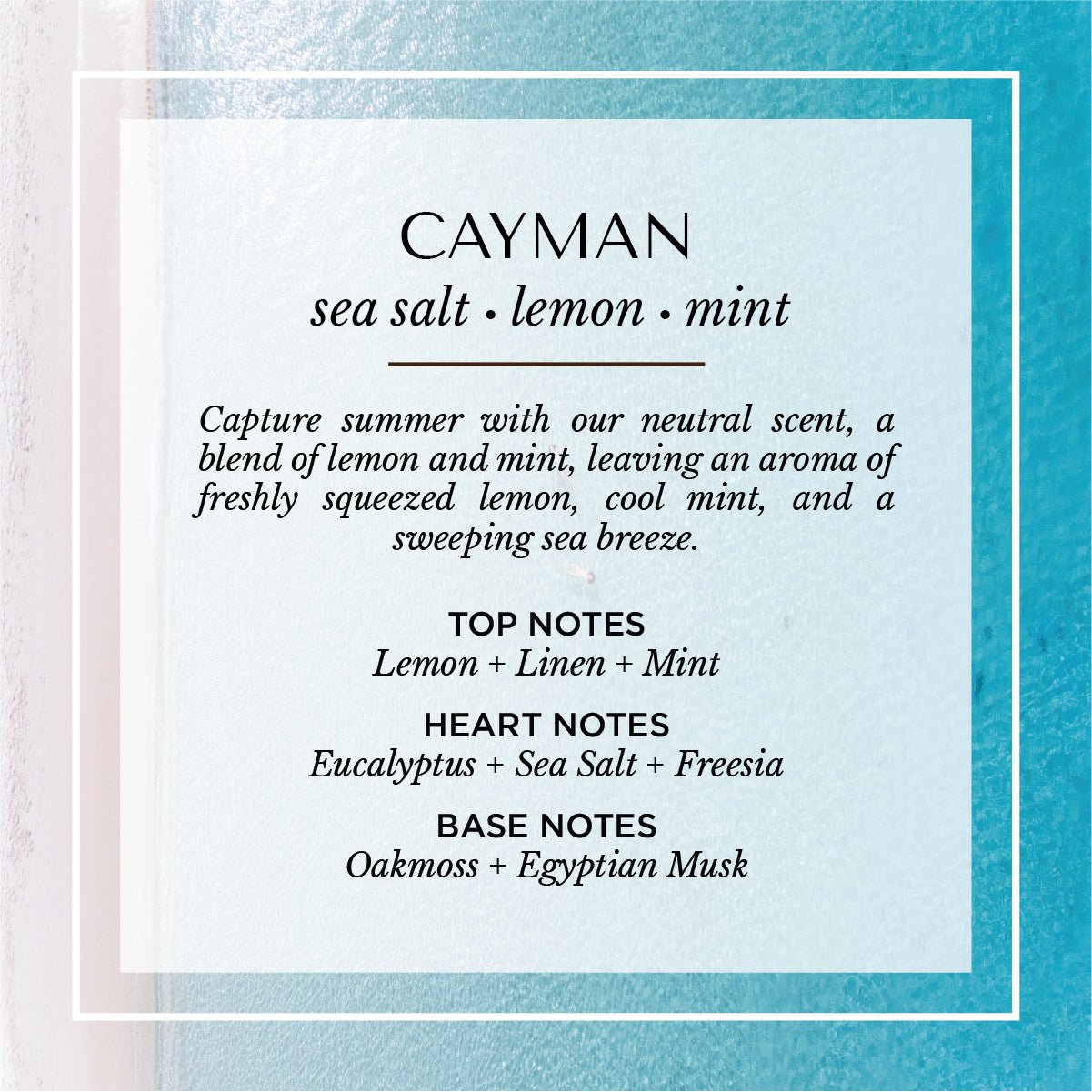 Black Gloss Candle - Choice of 9 signature scents - Marsh and Manor Collective