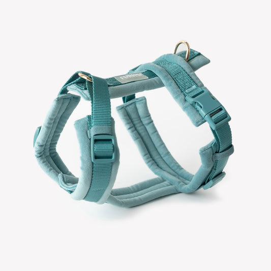Blue - Velvet Dog Harness - Marsh and Manor Collective