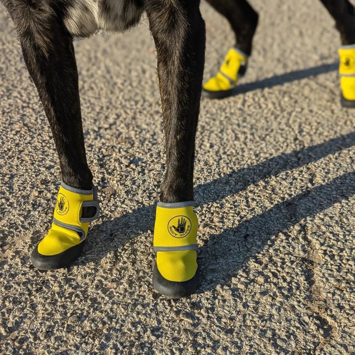 Body Glove Dog Booties - Marsh and Manor Collective