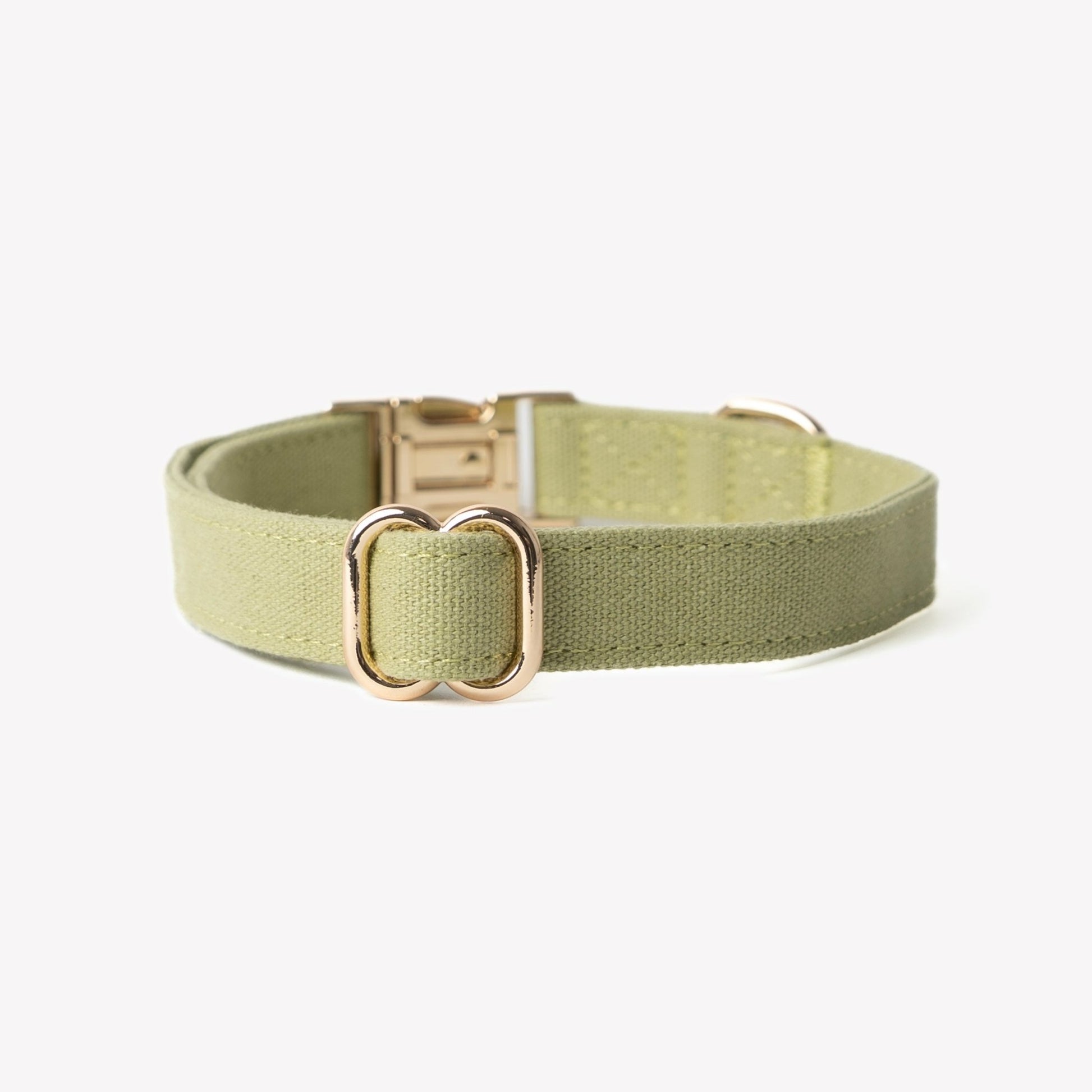 'Green' - Canvas Dog Collar - Marsh and Manor Collective