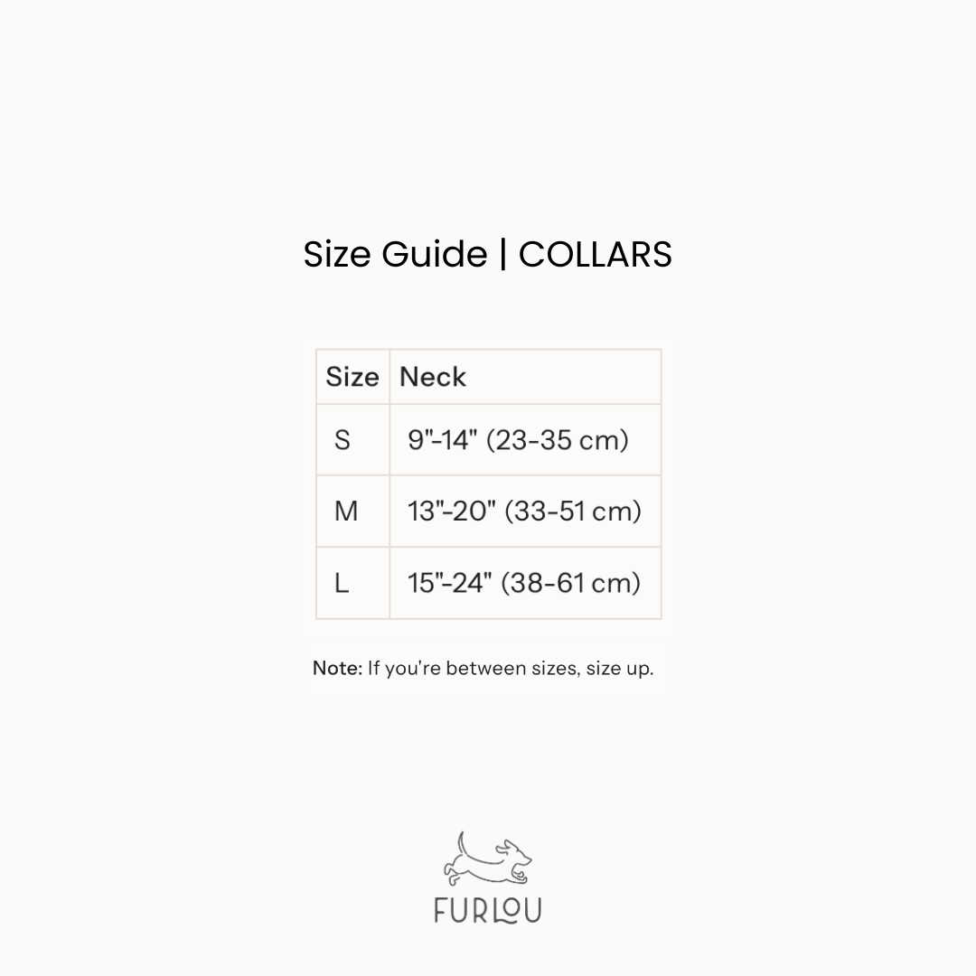 'Green' - Canvas Dog Collar - Marsh and Manor Collective