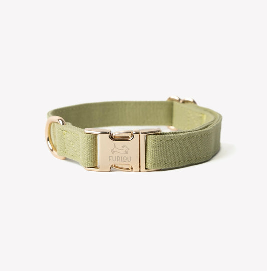 'Green' - Canvas Dog Collar - Marsh and Manor Collective