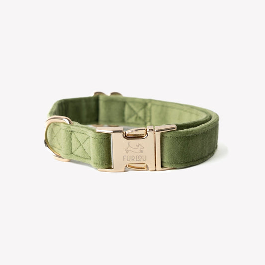 'Green' - Velvet Dog Collar - Marsh and Manor Collective