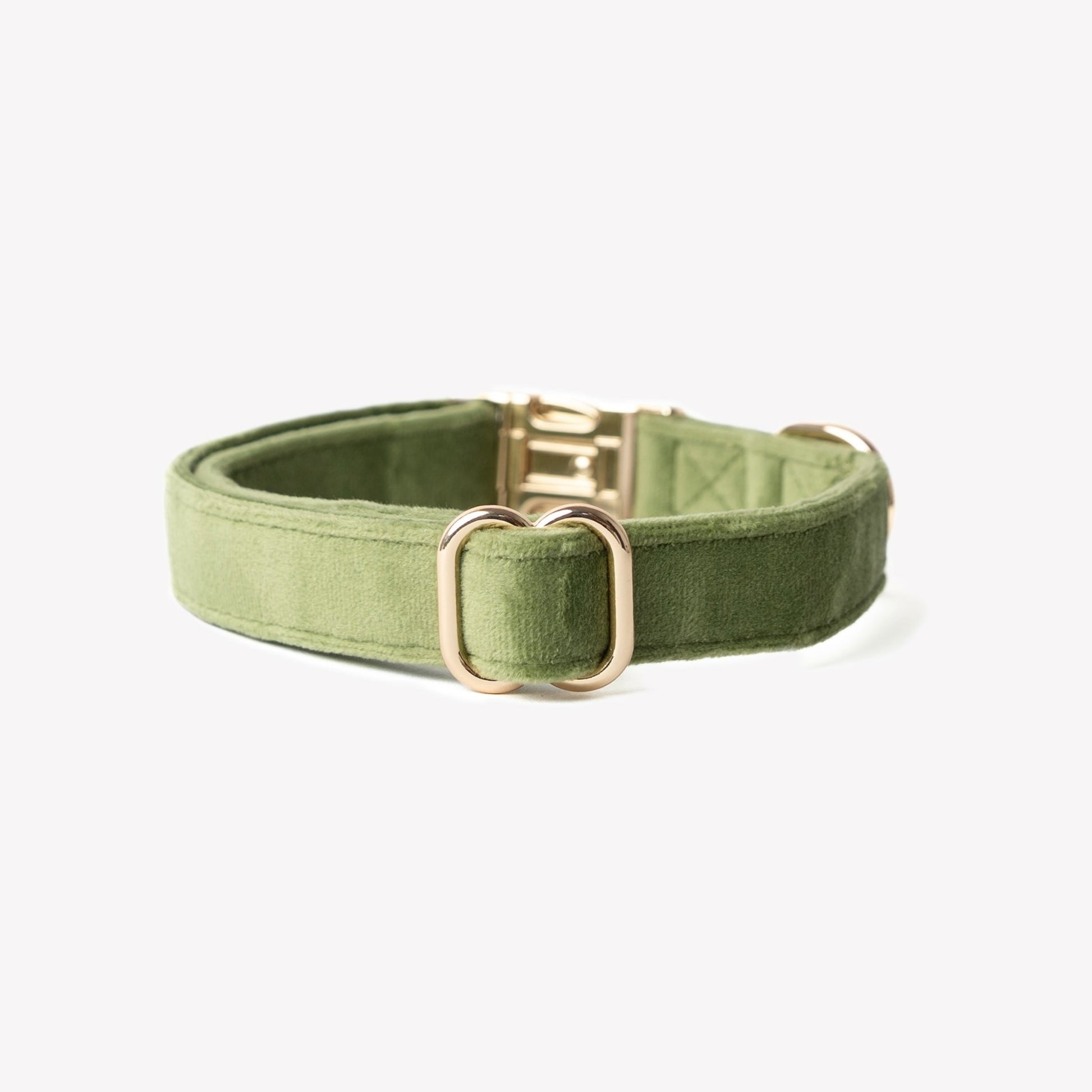 'Green' - Velvet Dog Collar - Marsh and Manor Collective