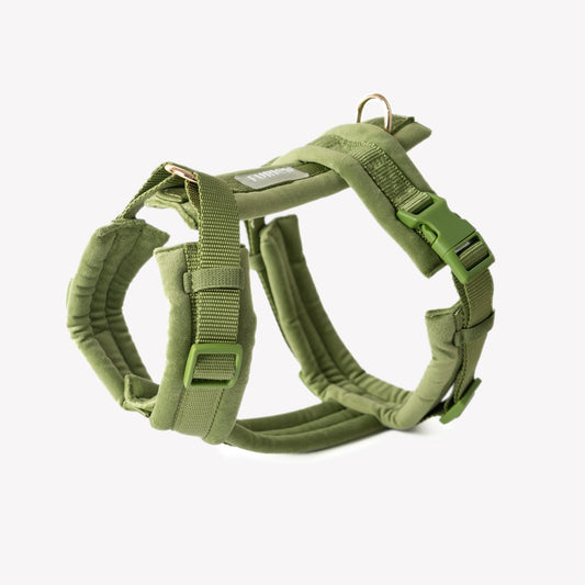 Green - Velvet Dog Harness - Marsh and Manor Collective