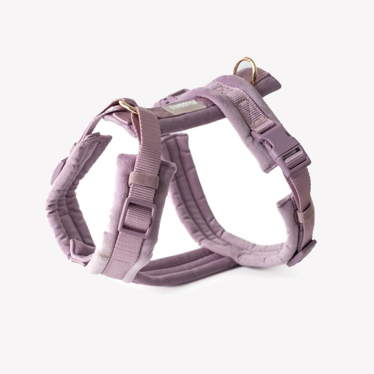 Lilac - Velvet Dog Harness - Marsh and Manor Collective