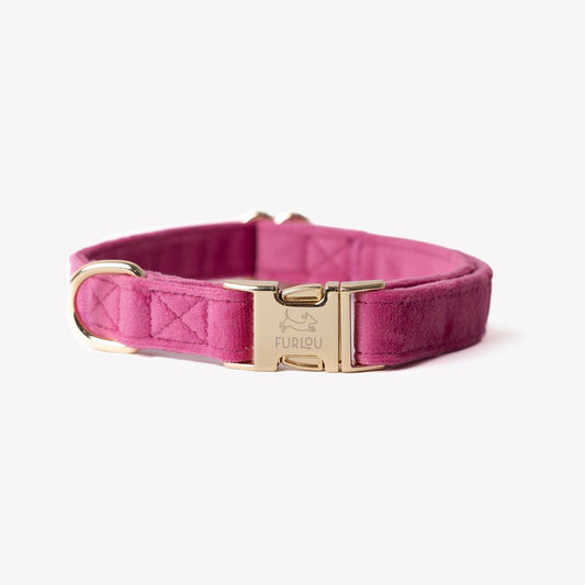 'Magenta' - Velvet Dog Collar - Marsh and Manor Collective