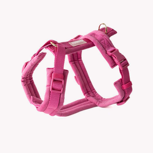 Magenta - Velvet Dog Harness - Marsh and Manor Collective