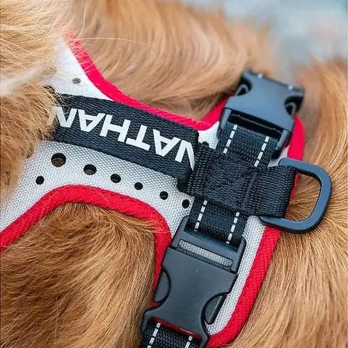 Nathan reflective dog harness - Marsh and Manor Collective