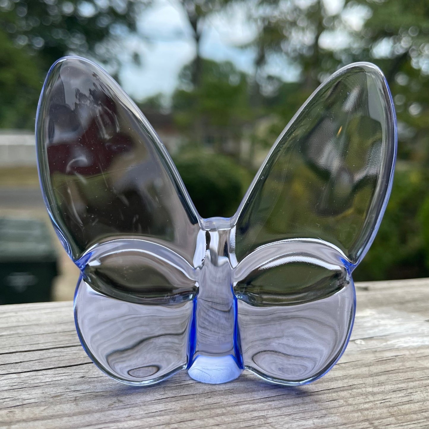 NEW Lainy Exclusive Mor Crystal Butterfly Home Decor in Blue - Marsh and Manor Collective