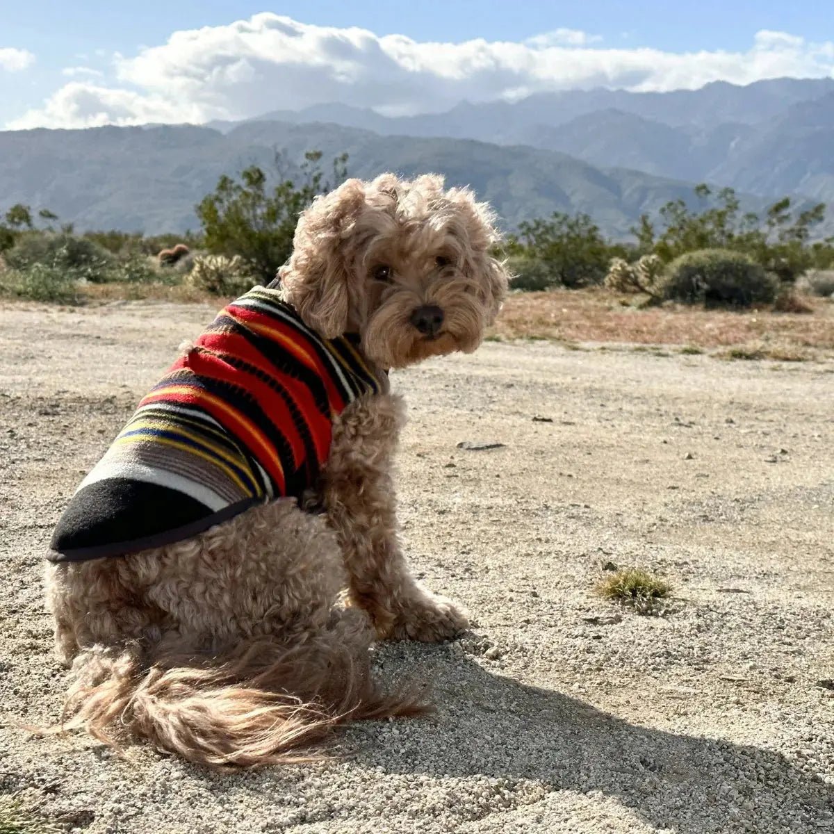 Pendleton National Park Dog Vest - Marsh and Manor Collective