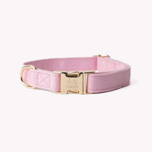'Pink' - Canvas Dog Collar - Marsh and Manor Collective