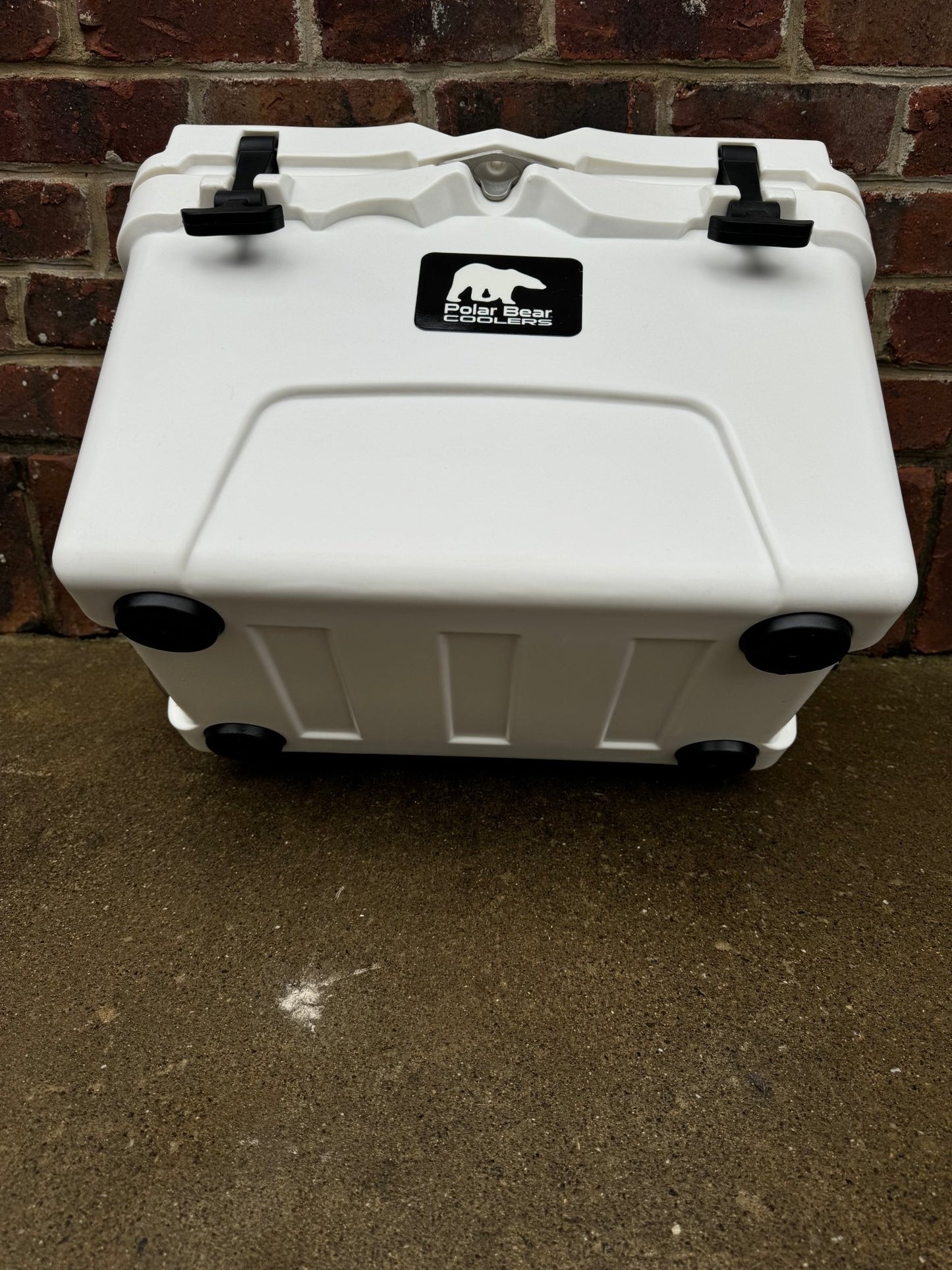 Polar Bear 20 Hard Cooler - Marsh and Manor Collective
