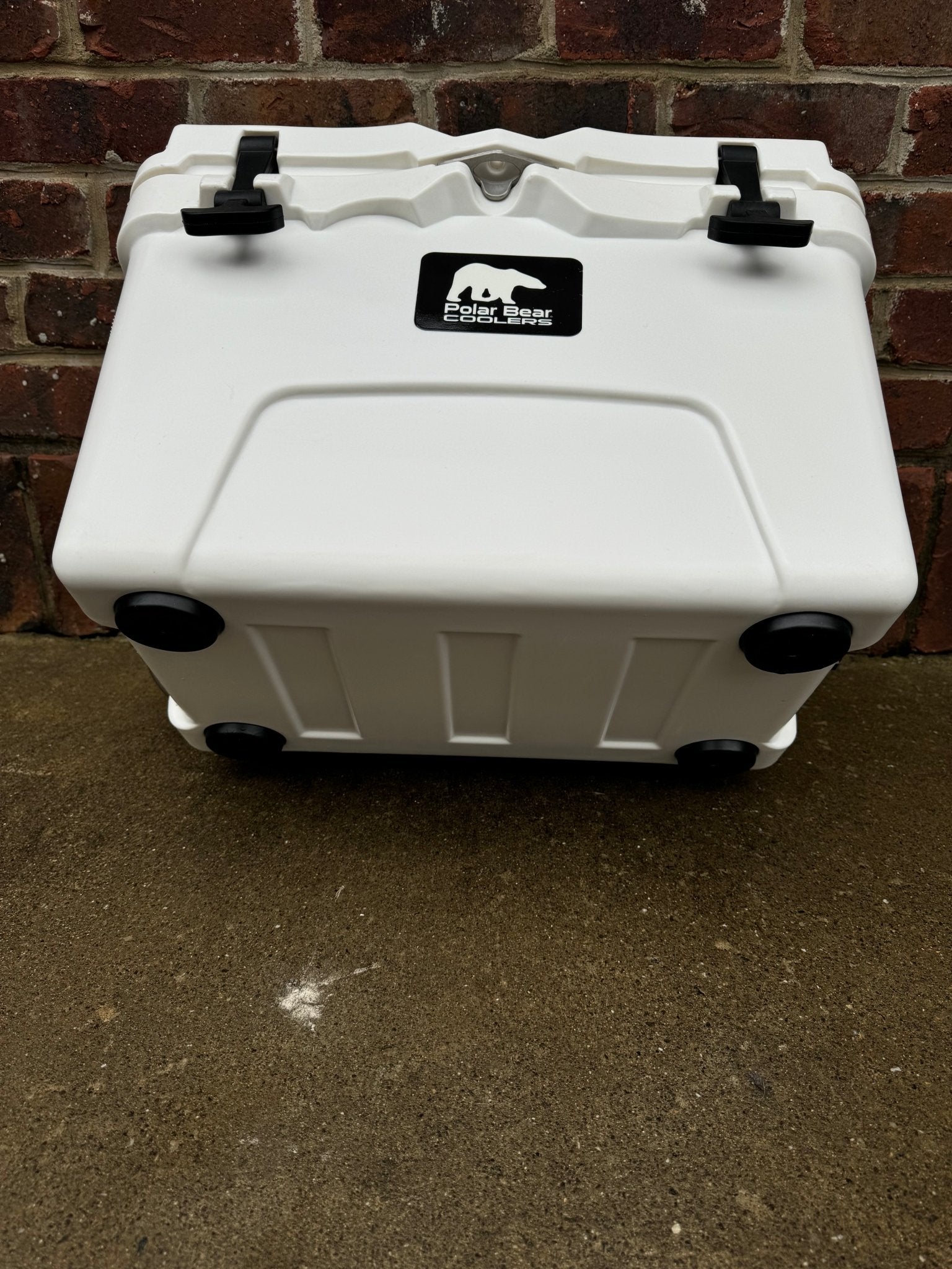 Polar Bear 20 Hard Cooler - Marsh and Manor Collective