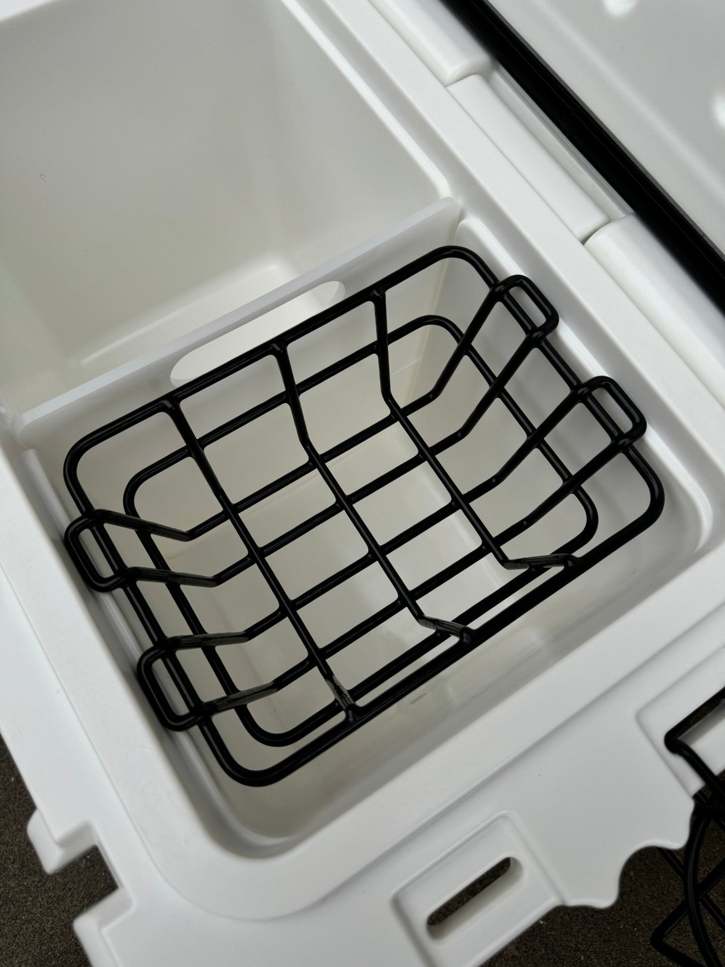 Polar Bear 20 Hard Cooler - Marsh and Manor Collective