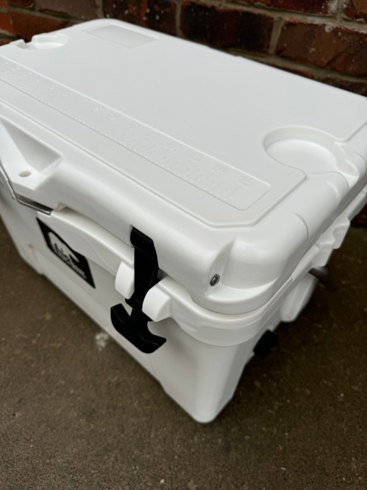 Polar Bear 20 Hard Cooler - Marsh and Manor Collective