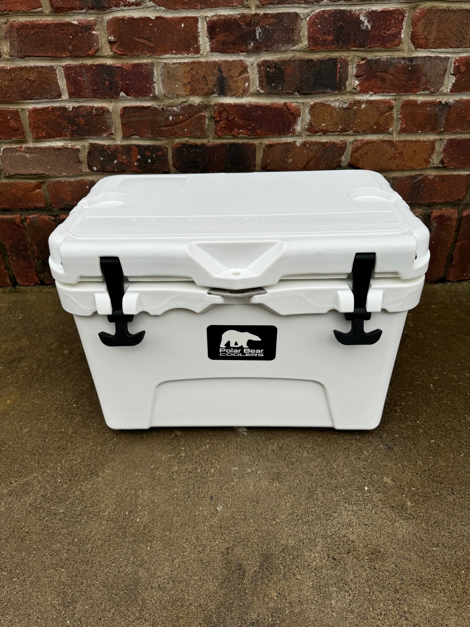 Polar Bear 20 Hard Cooler - Marsh and Manor Collective