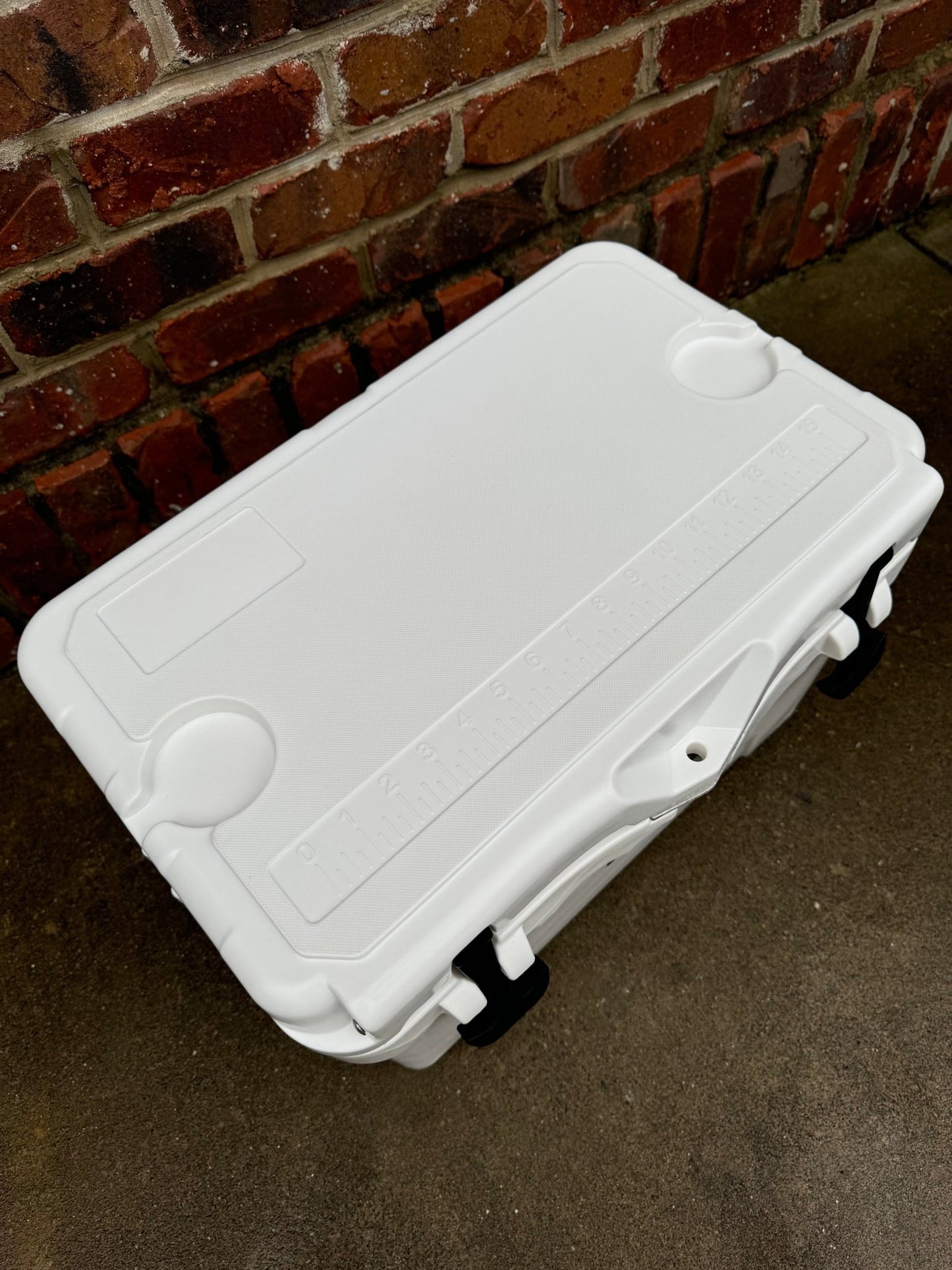 Polar Bear 20 Hard Cooler - Marsh and Manor Collective