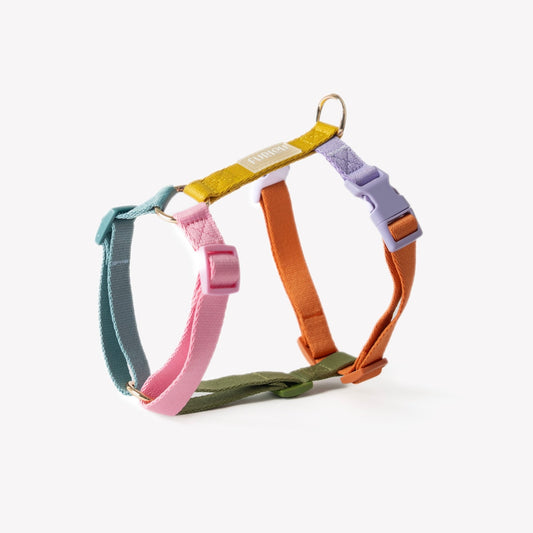 Rainbow - Dog Harness - Marsh and Manor Collective