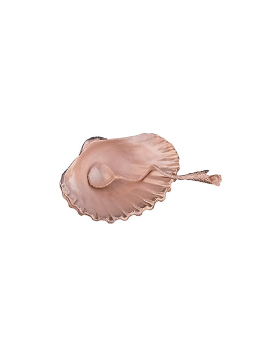 Seashell Salt Dish - Marsh and Manor Collective