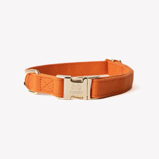 'Terracotta' - Canvas Dog Collar - Marsh and Manor Collective