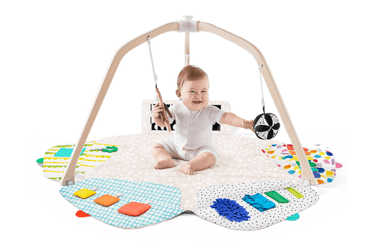 The Play Gym - Marsh and Manor Collective