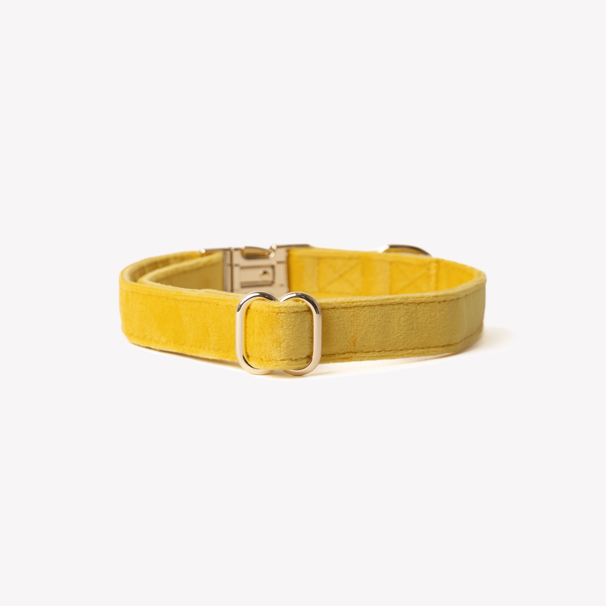 'Yellow' - Velvet Dog Collar - Marsh and Manor Collective
