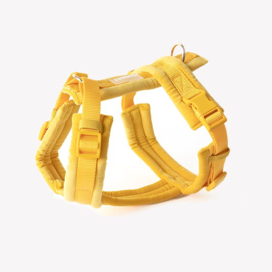 Yellow - Velvet Dog Harness - Marsh and Manor Collective