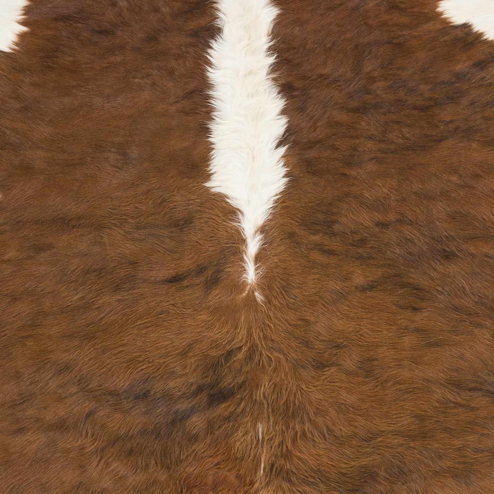 Yucaipa Cowhide Rug - Clearance - Marsh and Manor Collective